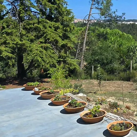 Holiday home Quinta Joaninhas