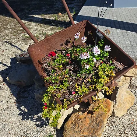 Holiday home Quinta Joaninhas Figueira da Foz